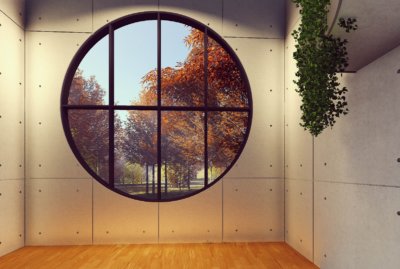 Window looking out at trees in the fall