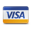 Visa Visa Logo