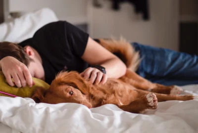 Person sleeping with red golden retriever.