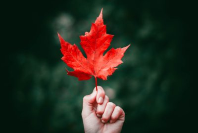 Person holding a red leaf