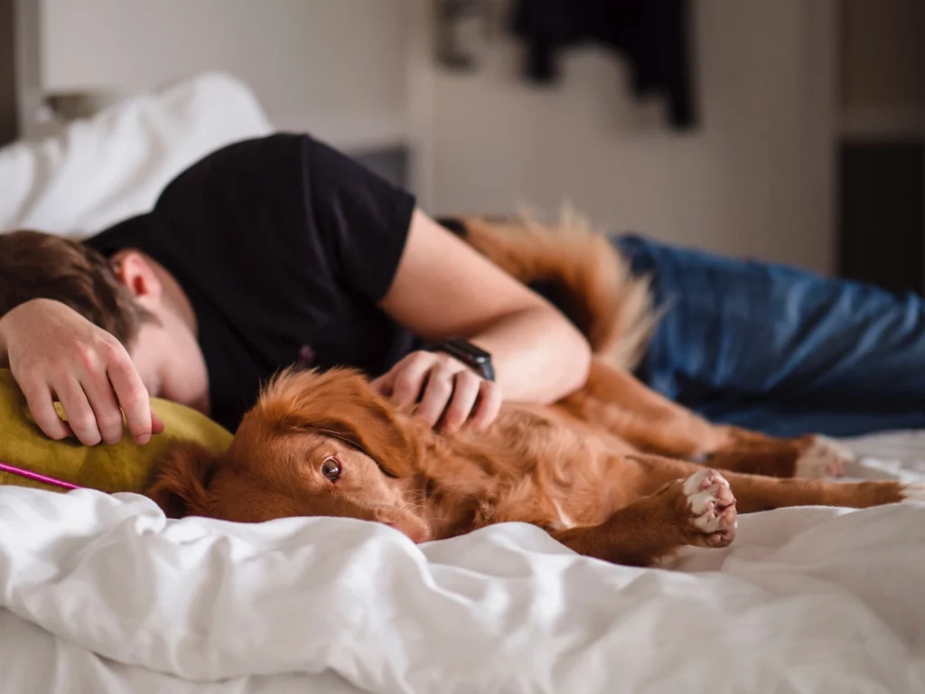 Person sleeping with red golden retriever.