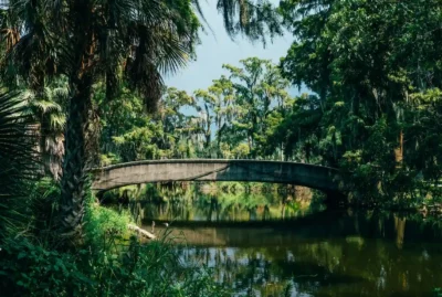 Bridge across swamp in Acadiana, Louisiana.